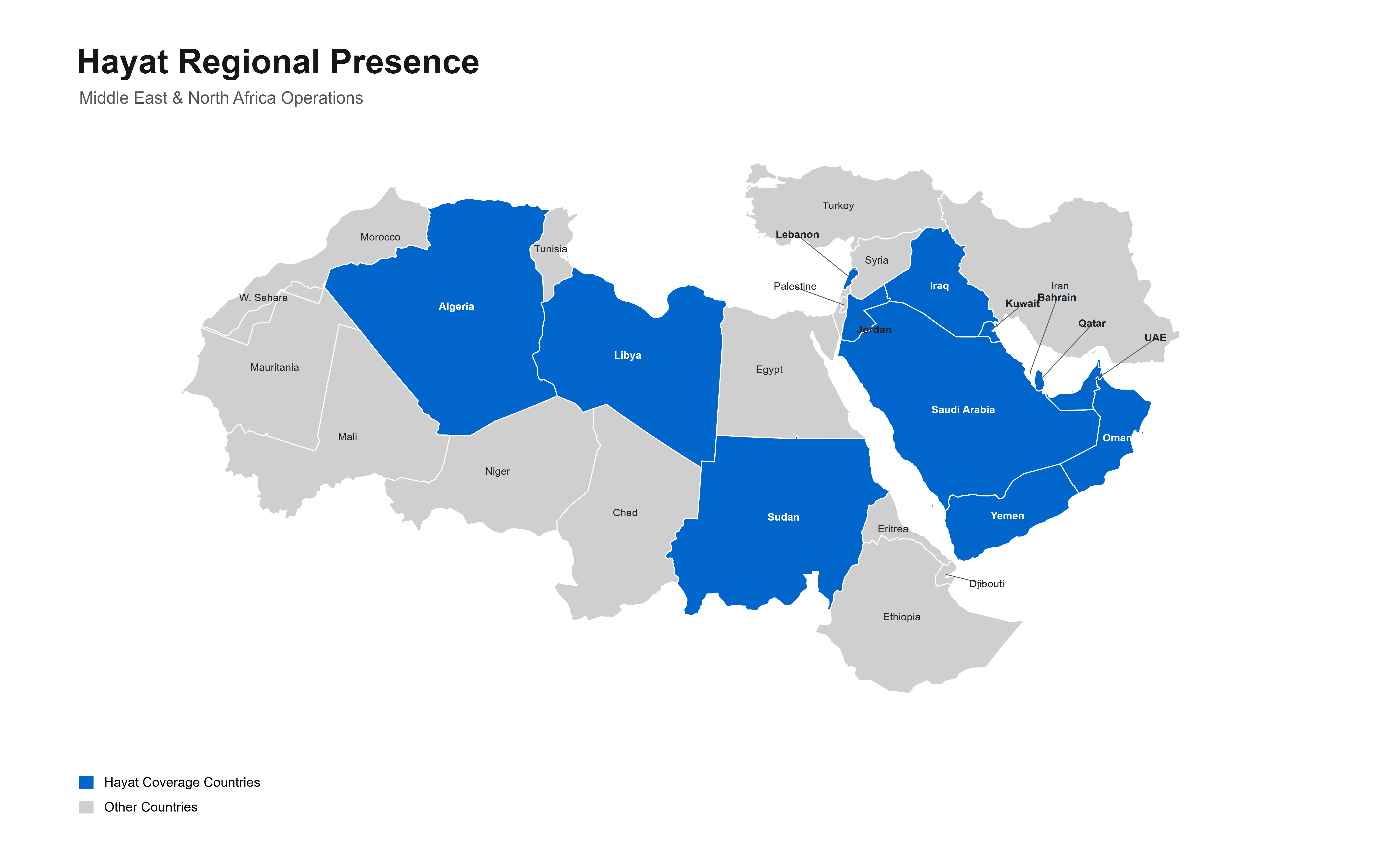 Hayat Regional Presence across the Middle East and North Africa